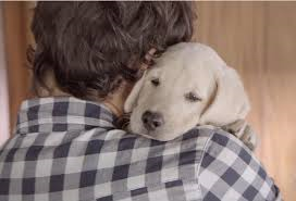 Budweiser Friends are Waiting